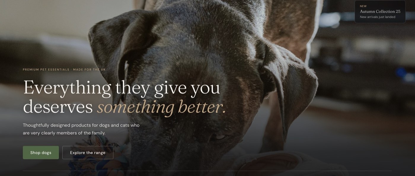 Página inicial da loja Pawlyo, com fotografia de um cão e o título Everything they give you deserves something better